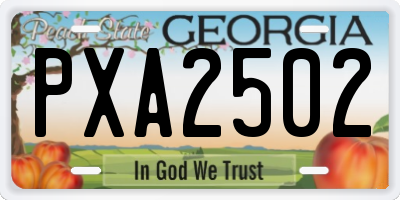 GA license plate PXA2502