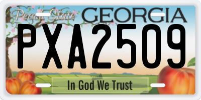 GA license plate PXA2509