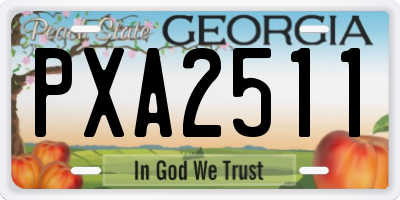GA license plate PXA2511