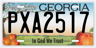 GA license plate PXA2517