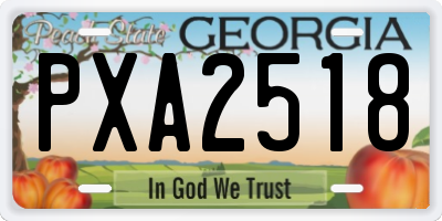 GA license plate PXA2518