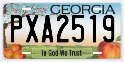 GA license plate PXA2519