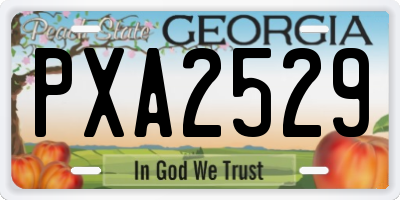 GA license plate PXA2529