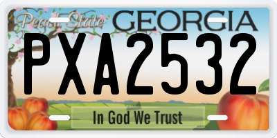 GA license plate PXA2532