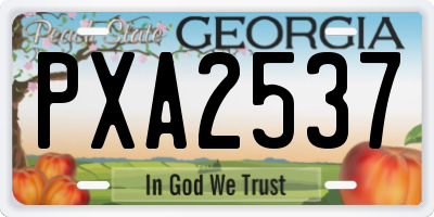 GA license plate PXA2537