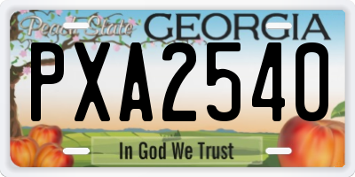 GA license plate PXA2540