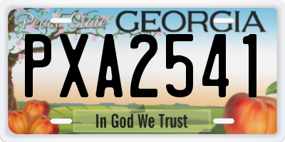 GA license plate PXA2541