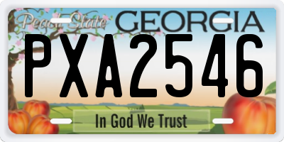 GA license plate PXA2546