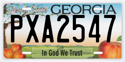 GA license plate PXA2547