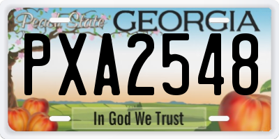 GA license plate PXA2548