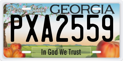 GA license plate PXA2559