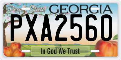 GA license plate PXA2560