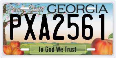 GA license plate PXA2561