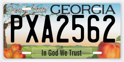 GA license plate PXA2562