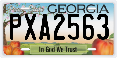 GA license plate PXA2563