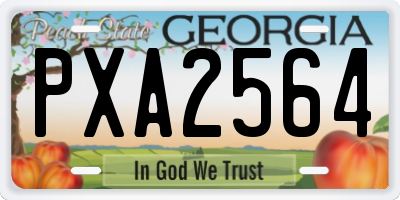 GA license plate PXA2564