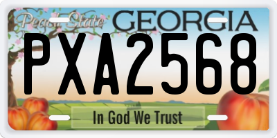 GA license plate PXA2568
