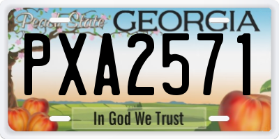 GA license plate PXA2571