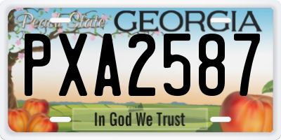 GA license plate PXA2587
