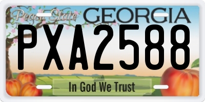 GA license plate PXA2588