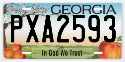 GA license plate PXA2593