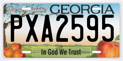 GA license plate PXA2595