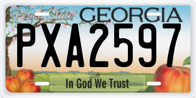 GA license plate PXA2597