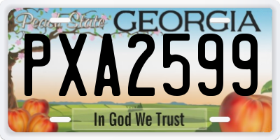 GA license plate PXA2599