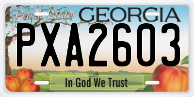 GA license plate PXA2603