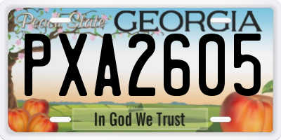 GA license plate PXA2605