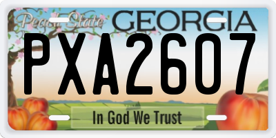 GA license plate PXA2607