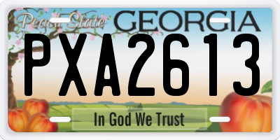 GA license plate PXA2613