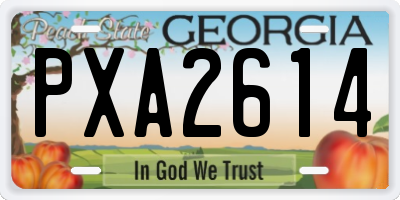 GA license plate PXA2614
