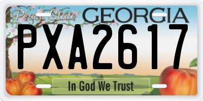 GA license plate PXA2617