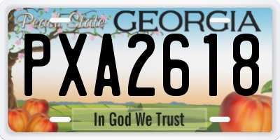 GA license plate PXA2618