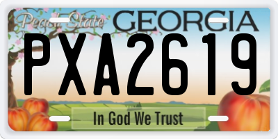 GA license plate PXA2619
