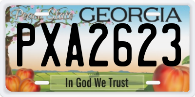 GA license plate PXA2623