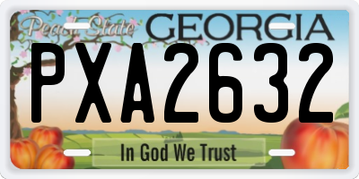 GA license plate PXA2632