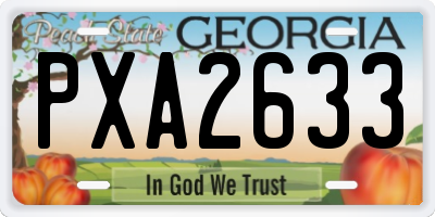 GA license plate PXA2633