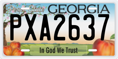GA license plate PXA2637