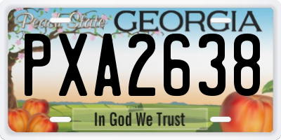 GA license plate PXA2638