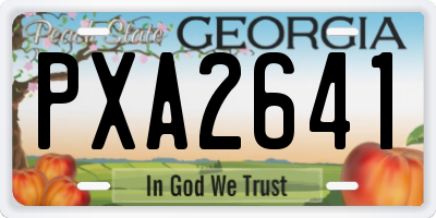 GA license plate PXA2641