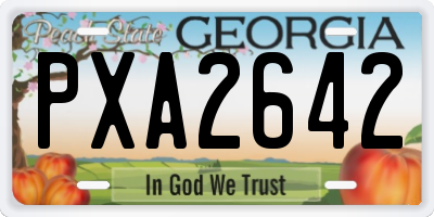 GA license plate PXA2642