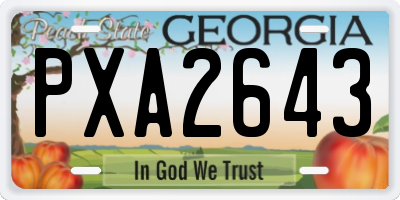 GA license plate PXA2643
