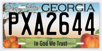 GA license plate PXA2644