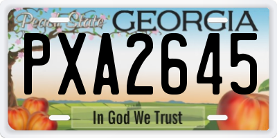 GA license plate PXA2645