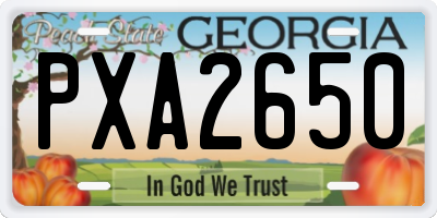 GA license plate PXA2650