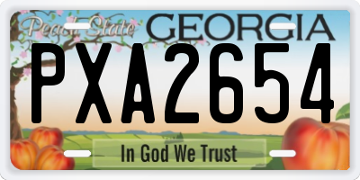 GA license plate PXA2654