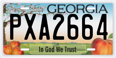 GA license plate PXA2664