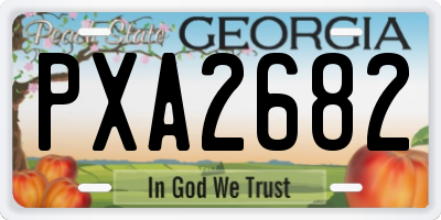 GA license plate PXA2682